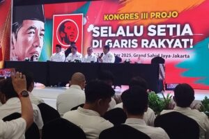 Projo Solid Perkuat Partai Pimpinan Presiden Prabowo, Ini Alasannya