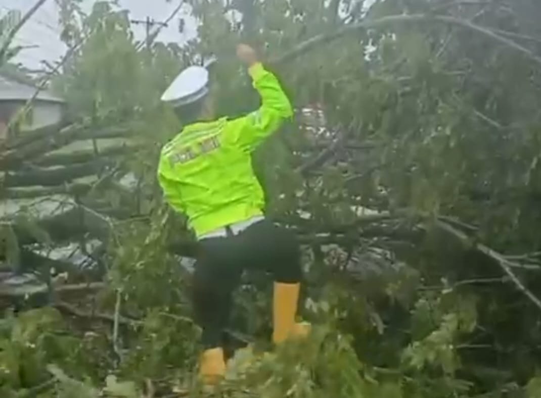 Pohon Tumbang Tutup Jalinsum di Petatal, Kasat Lantas Batu Bara Turun Tangan di Tengah Hujan Deras
