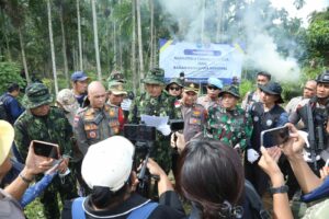 BNN Musnahkan 6,5 Hektare Ladang Ganja dengan Total 97 Ribu Pohon di Aceh Utara