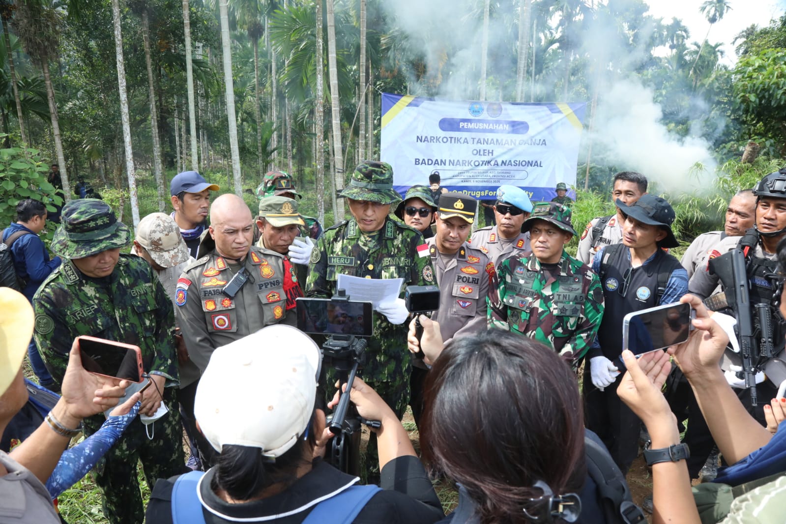 BNN Musnahkan 6,5 Hektare Ladang Ganja dengan Total 97 Ribu Pohon di Aceh Utara