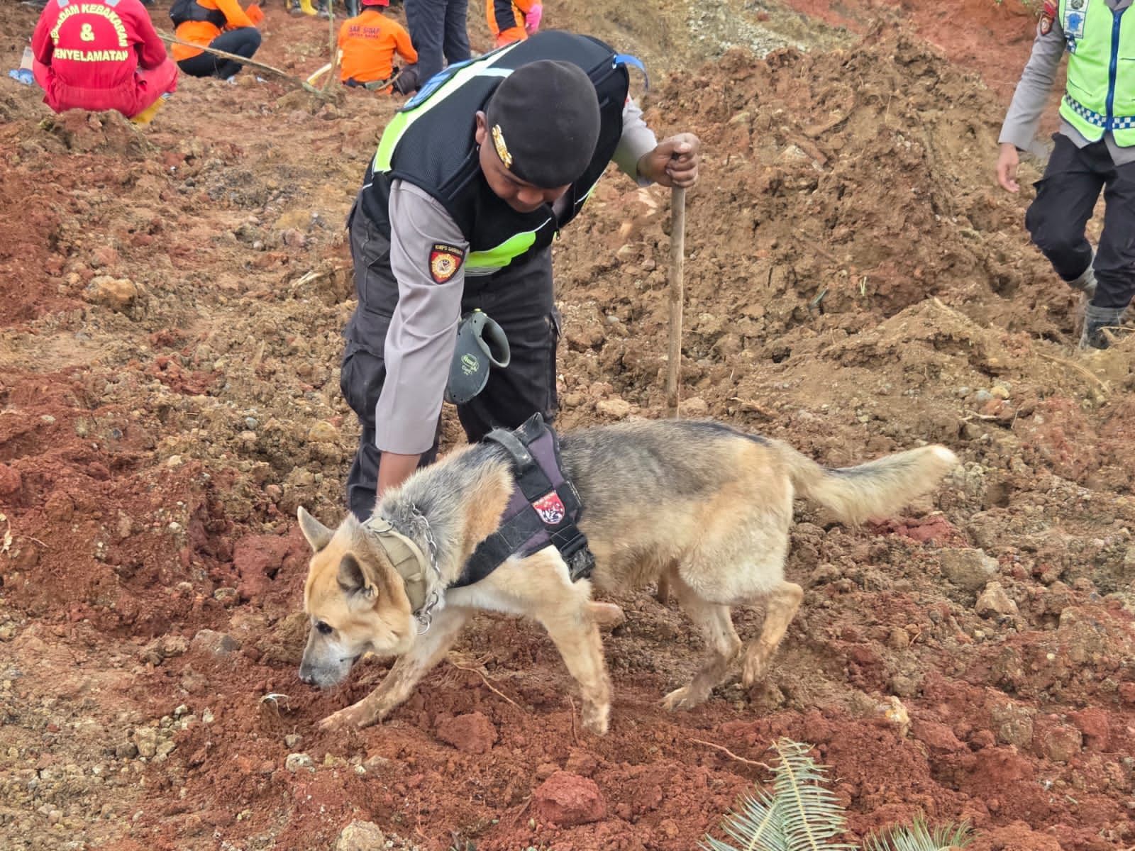 20 Warga Cilacap Masih Tertimbun Longsor, Polri Kerahkan Anjing Pelacak