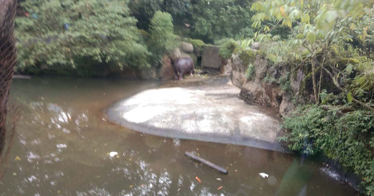 Banjir Rendam Beberapa Area Wisata di TSI, Wisatawan Dialihkan