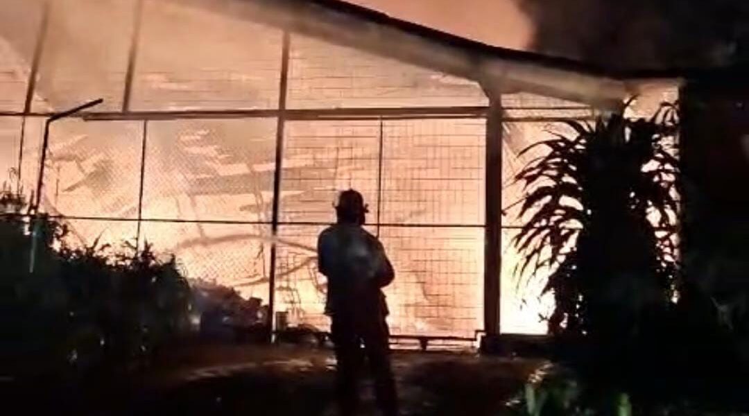 Gudang Jagorawi Golf Kebakaran, 100 Unit Mobil Hangus, Tidak Ada Korban Jiwa