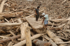 27 Kayu Misterius di DAS Garoga: Polisi Bongkar Dugaan Pembukaan Lahan Penyebab Banjir