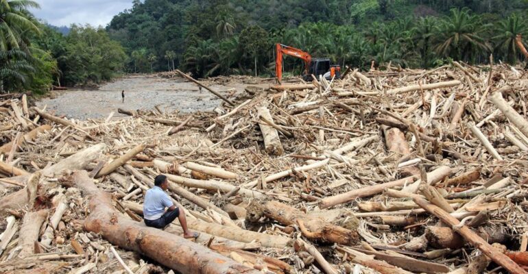 Fakta Baru Terungkap, Kasus Kayu Gelondongan di Sumut Naik ke Penyidikan 1 Fakta Baru Terungkap, Kasus Kayu Gelondongan di Sumut Naik ke Penyidikan
