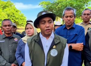 Nakal dan Merusak Lingkungan, Menhut Cabut 22 Izin Perusahaan Penggunaan Kawasan Hutan
