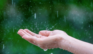 Prakiraan Cuaca Bekasi Hari Ini, BMKG: Mendung dan Hujan Ringan