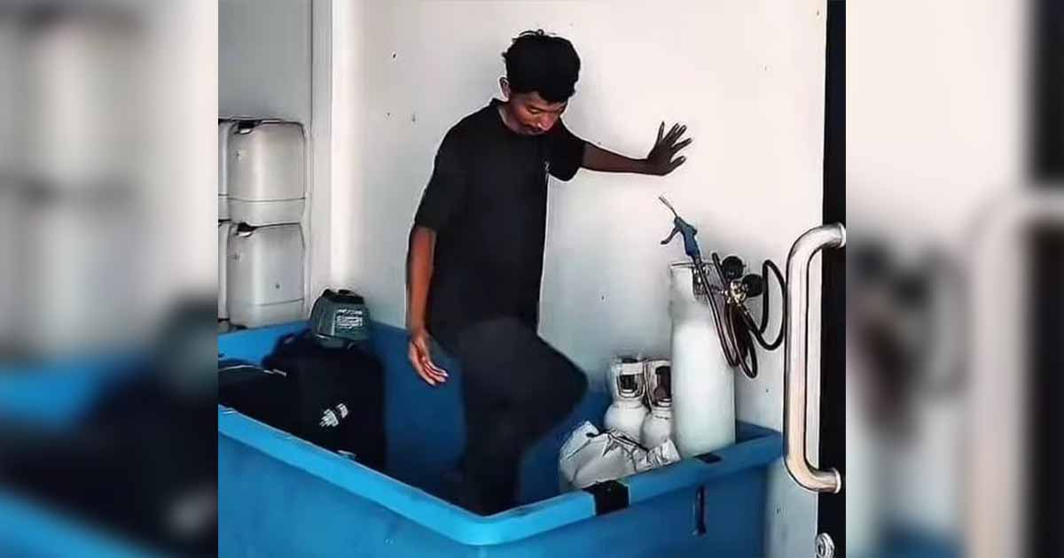 Kejari Kabupaten Bogor Amankan Puluhan Ribu Benih Lobster yang Hendak Dikirim ke Vietnam 1 Kejari Kabupaten Bogor Amankan Puluhan Ribu Benih Lobster yang Hendak Dikirim ke Vietnam