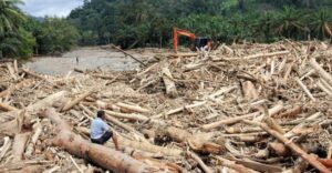 Guru Besar IPB University, Kayu Gelondongan di Bencana Sumatera Ada Keterlibatan Aktivitas Manusia 4 Guru Besar IPB University, Kayu Gelondongan di Bencana Sumatera Ada Keterlibatan Aktivitas Manusia