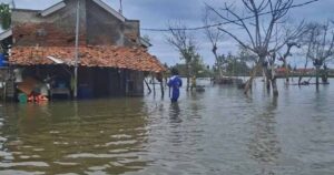 Banjir Rob Laut Jawa Kepung Bekasi, 14.000 Warga Muaragembong Terdampak
