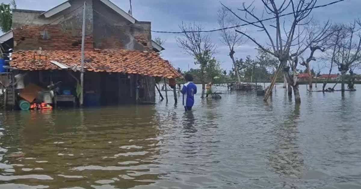 Banjir Rob Laut Jawa Kepung Bekasi, 14.000 Warga Muaragembong Terdampak 1 Banjir Rob Laut Jawa Kepung Bekasi, 14.000 Warga Muaragembong Terdampak
