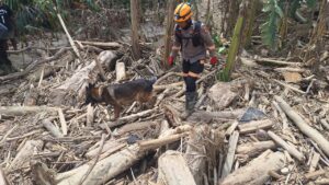 Anjing Pelacak Temukan Mayat Laki-laki di Aceh Tamiang, Identitas Diketahui