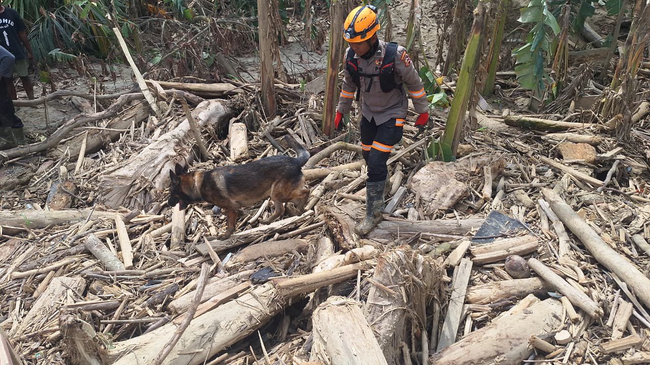 Anjing Pelacak Temukan Mayat Laki-laki di Aceh Tamiang, Identitas Diketahui