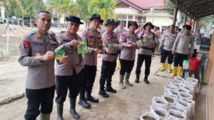 Lumpur Banjir Disulap Jadi Sarana Produktif Komoditas Pangan