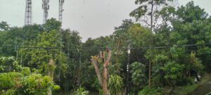 Wilayah Bogor Diguyur Hujan dan Petir, BMKG Ingatkan Masyarakat Berhati-hati Saat Berkendara