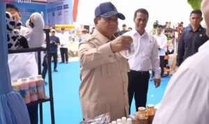 Panen Raya di Karawang, Prabowo Umumkan Swasembada Pangan
