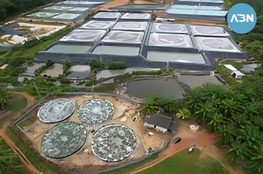 Isu Akuisisi oleh Hashim dan Northstar Mencuat, Ini Klarifikasi Manajemen UDNG