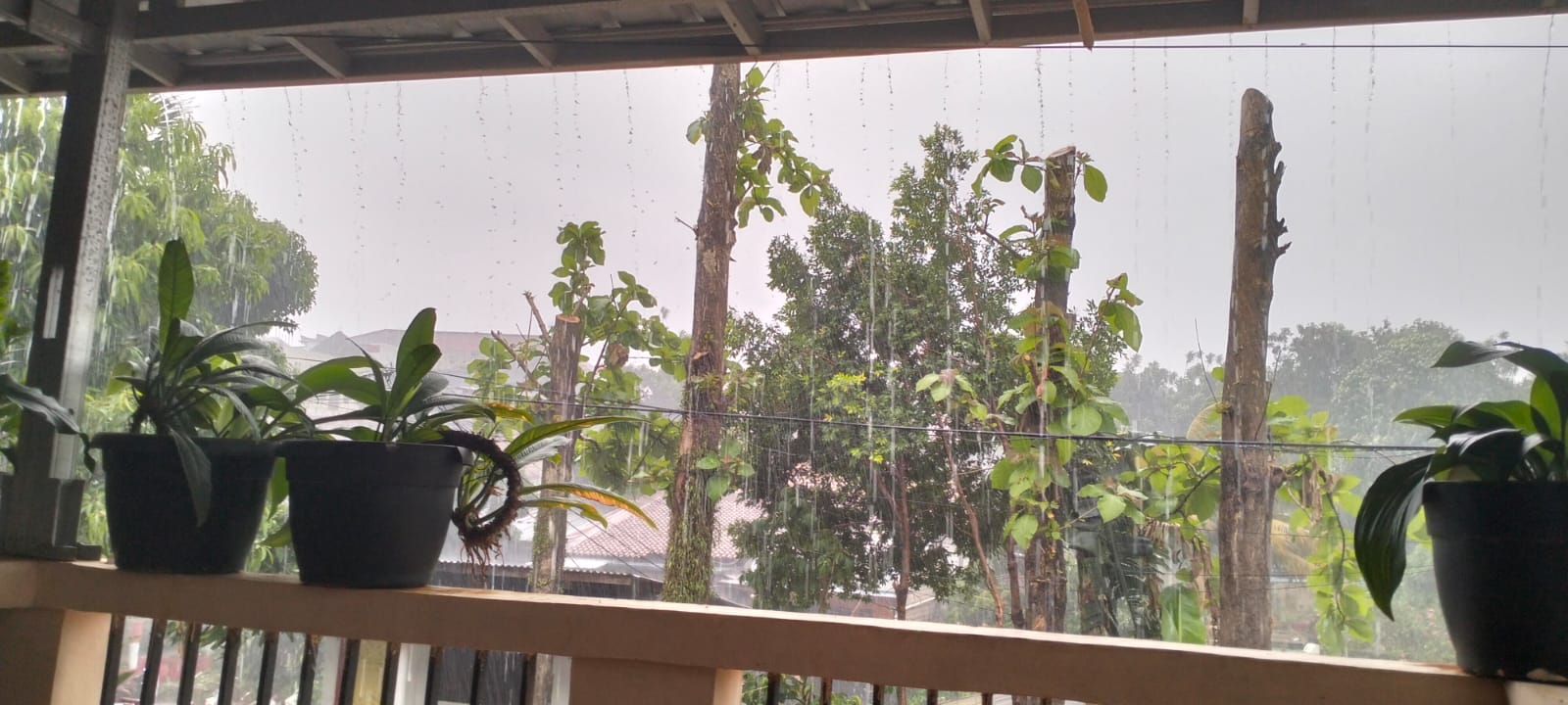 Tak Ada Matahari Seharian, Hujan Terus Guyur Bogor! Ini Peringatan Terbaru BMKG