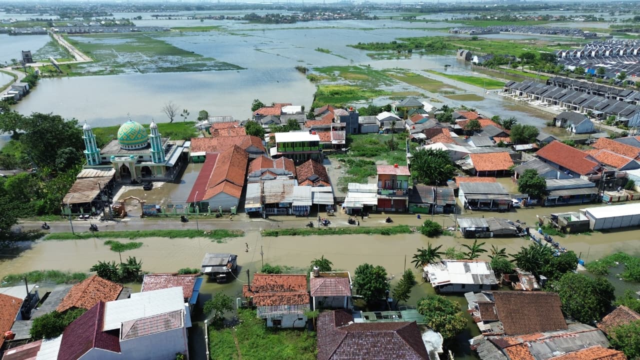 WhatsApp Image 2026 01 29 at 14.30.01