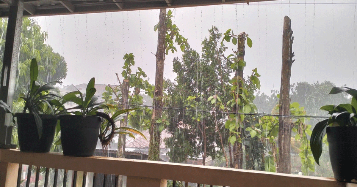 BMKG Prediksi Hujan Guyur Jabodetabek Dua Hari, Ini Wilayah yang Perlu Waspada 1 BMKG Prediksi Hujan Guyur Jabodetabek Dua Hari, Ini Wilayah yang Perlu Waspada