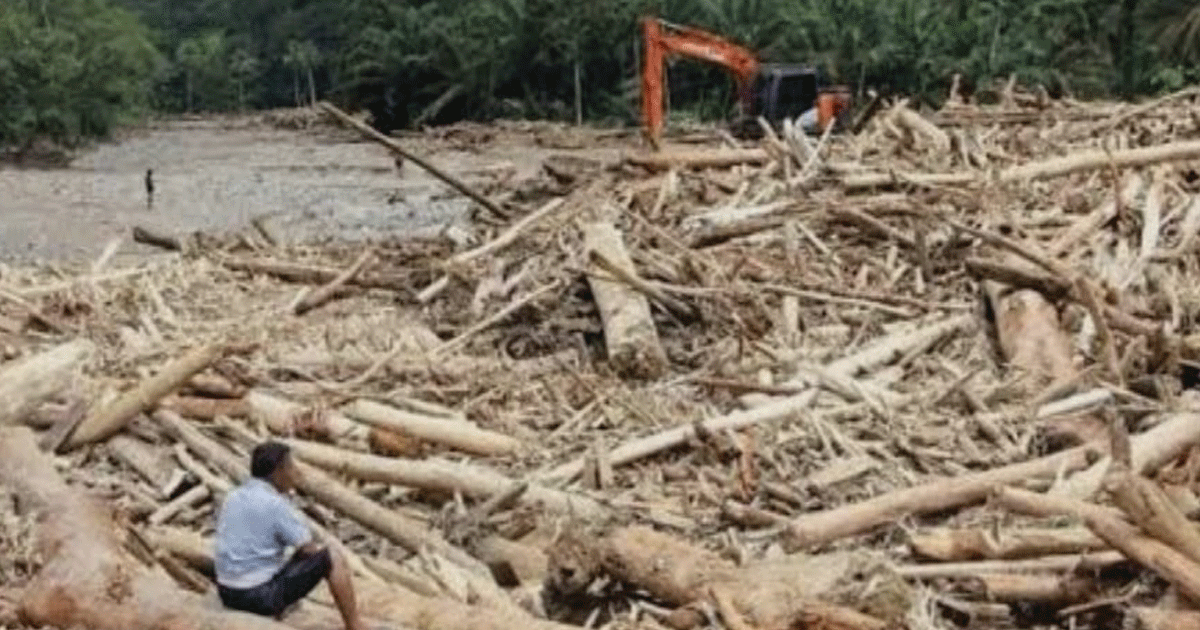 Jadi Biang Kerok Banjir Sumatera, Pemerintah Gugat 6 Perusahaan Rp4,8 Triliun