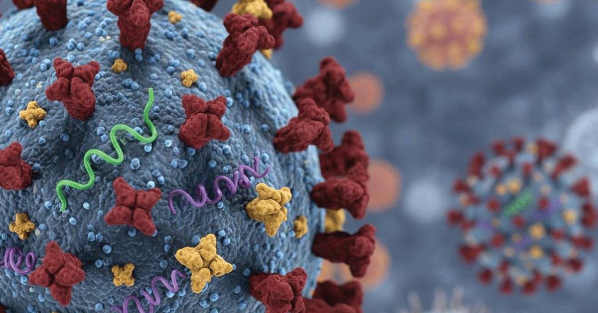 Penyebaran Virus Influenza H3N2 Subclade K, Tidak Mematikan Tapi Memiliki Laju Evolusi Tinggi.