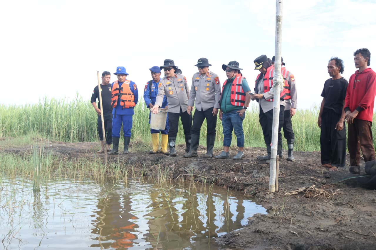 Dari Pesisir Bekasi, Kapolda Metro Pantau Budidaya Ikan dan Udang untuk Pasokan Pangan