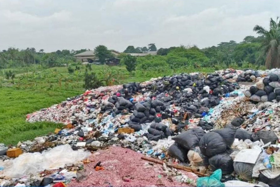 Heboh! Cacahan Diduga Uang Rp100.000 dan Rp50.000 Menumpuk di TPS Liar di Bekasi