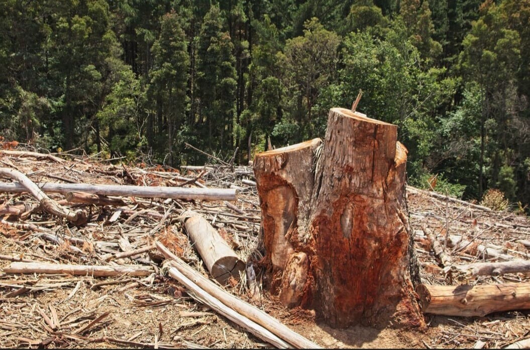Negara Jangan Cuma Mengancam, Harus Menang