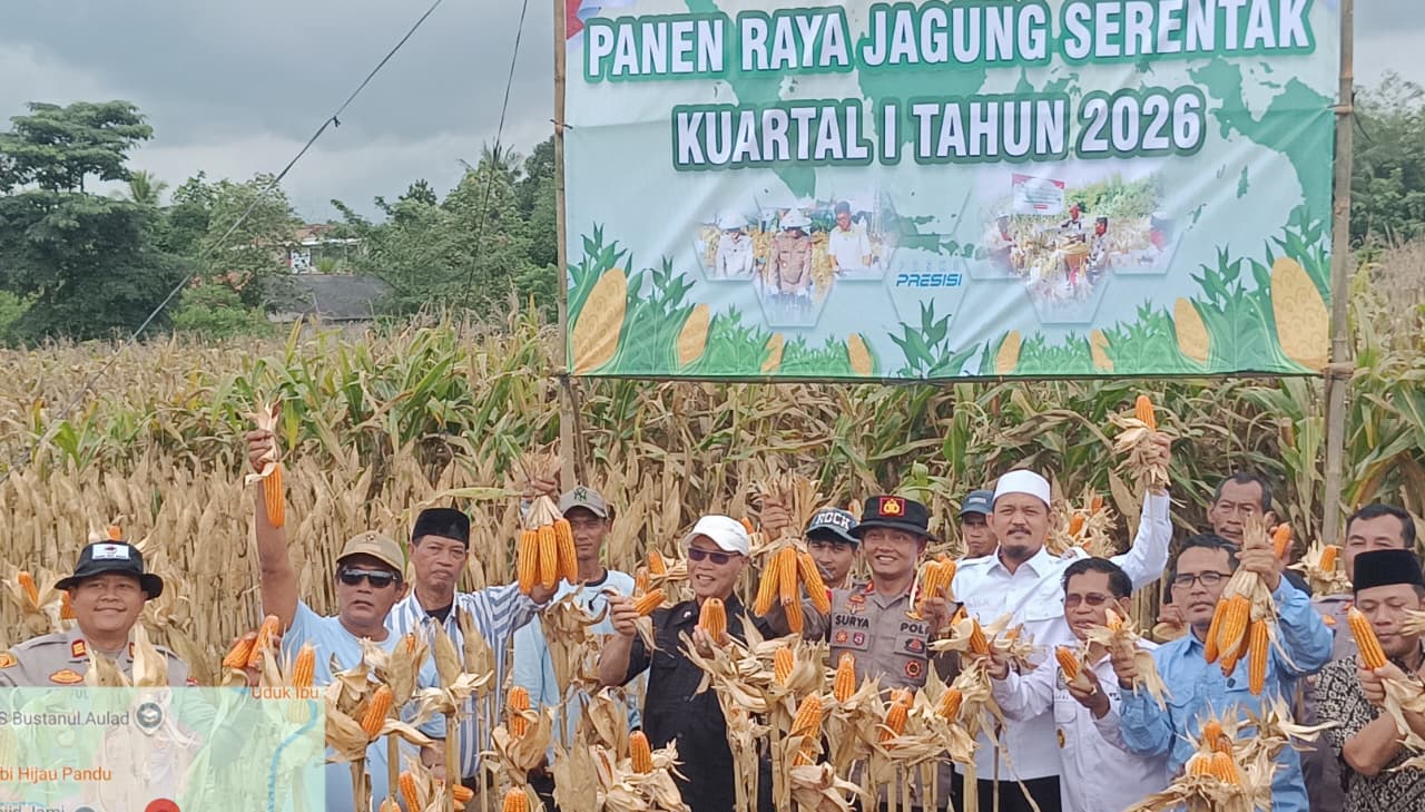 Panen Raya Jagung di Kopo, Pemkab Serang Dukung Petani Sejahtera