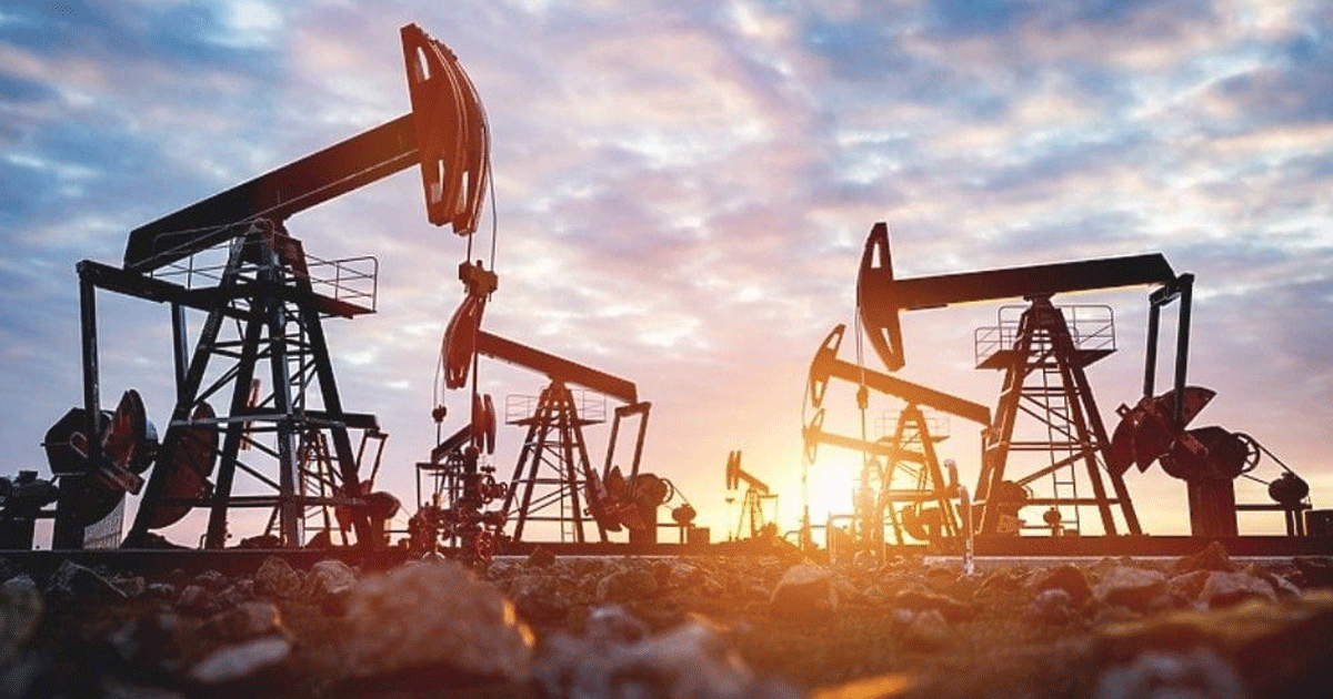 Grup Nanshan China Rencanakan Pembangunan Kilang Minyak di Indonesia dengan Kapasitas 100.000 Barel per Hari