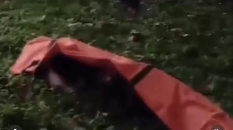 Mayat di pinggir tol jagorawi