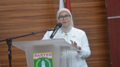 Pelaksana Tugas (Plt) Kepala Inspektorat Provinsi Banten, Sitti Ma’ani Nina