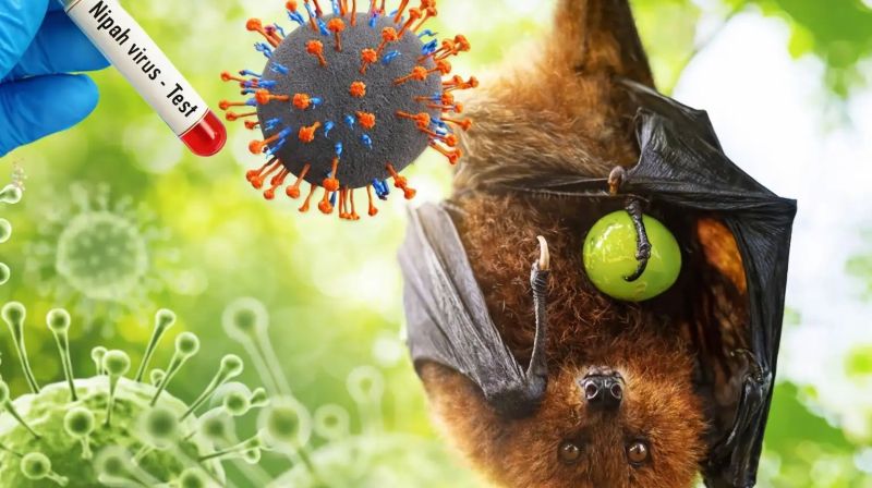 Virus Nipah