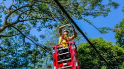 WhatsApp Image 2025-10-15 at 9.42.06 PM