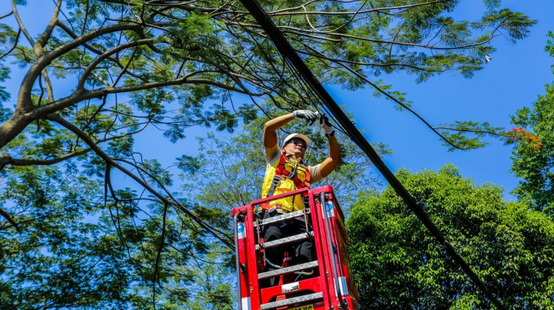 WhatsApp Image 2025-10-15 at 9.42.06 PM