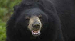 WhatsApp Image 2025-11-10 at 5.28.17 PM