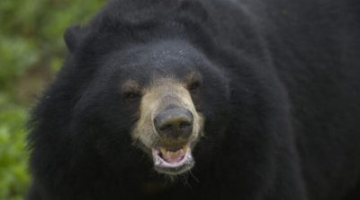 WhatsApp Image 2025-11-10 at 5.28.17 PM