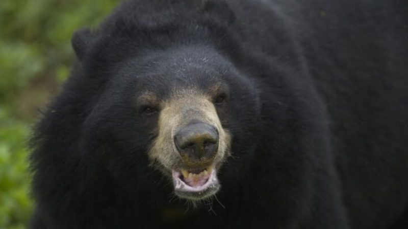 WhatsApp Image 2025-11-10 at 5.28.17 PM