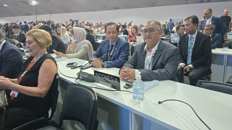 WhatsApp Image 2025-11-11 at 21.35.12