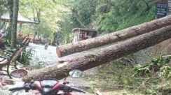 WhatsApp Image 2025-11-12 at 1.07.47 AM