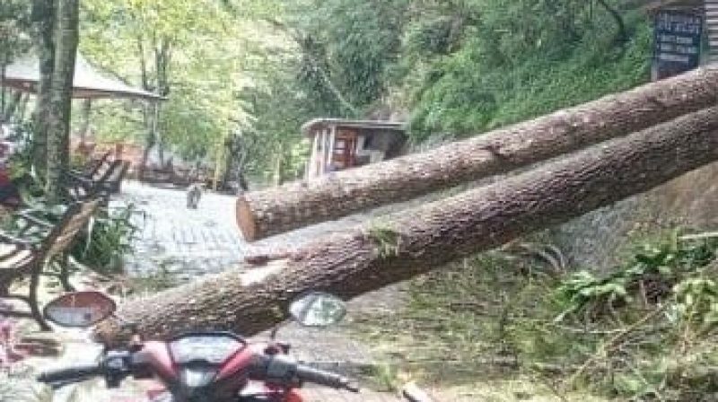 WhatsApp Image 2025-11-12 at 1.07.47 AM