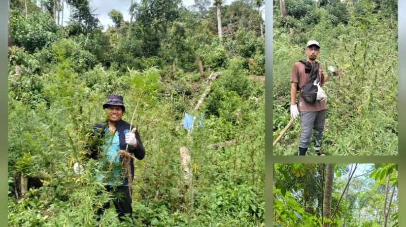 WhatsApp Image 2025-11-13 at 8.07.42 PM