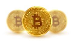 WhatsApp Image 2025-11-15 at 14.41.54_a83848f4