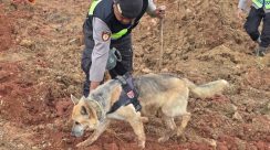 WhatsApp Image 2025-11-15 at 18.04.20_b7488977