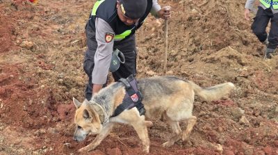 WhatsApp Image 2025-11-15 at 18.04.20_b7488977