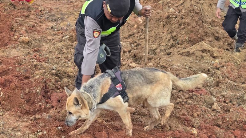 WhatsApp Image 2025-11-15 at 18.04.20_b7488977