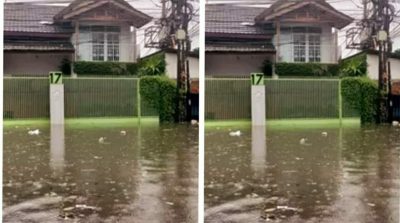 WhatsApp Image 2025-11-18 at 18.02.43_e3a5ea3e