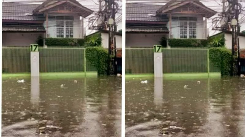 WhatsApp Image 2025-11-18 at 18.02.43_e3a5ea3e