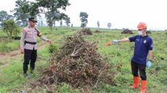 WhatsApp Image 2025-12-05 at 09.40.31_a94d9df1